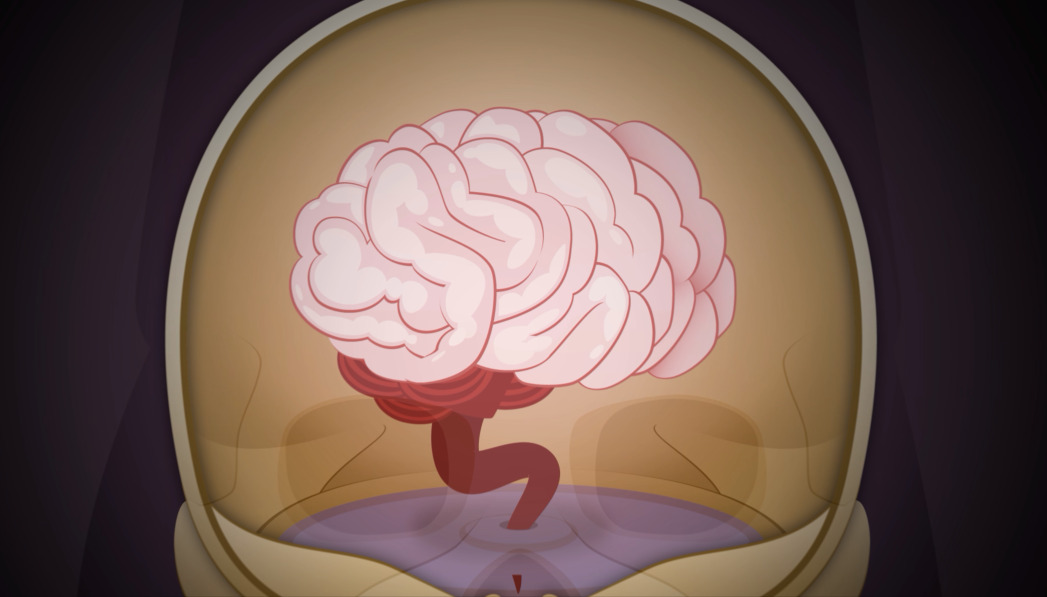 Image d'un cerveau - EPAV Média Capsule Santé mentale